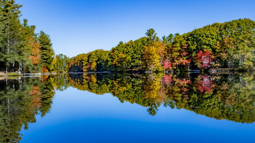 reflection