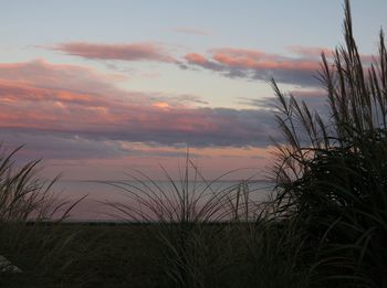 Scenic view of landscape at sunset