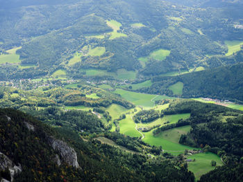 environment