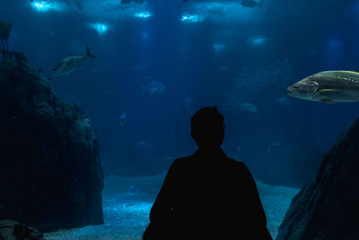 Rear view of man swimming in sea