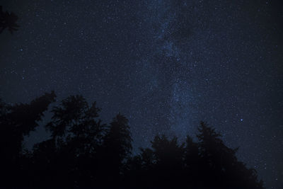 Low angle view of trees against sky at night