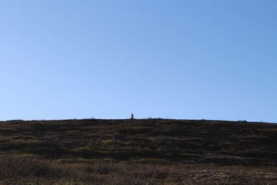 Man on hill against clear blue sky