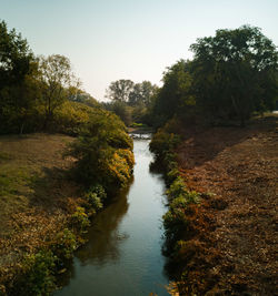 Scenic view of river amidst trees against sky