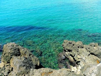 High angle view of rocks on shore