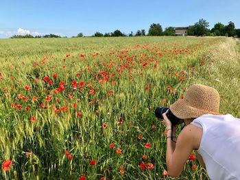Side view of mid adult woman photographing poppy flowers growing in field against blue sky