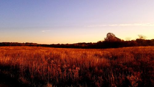 Scenic view of field against sky during sunset