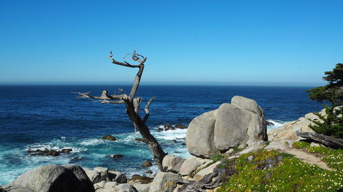 Scenic view of sea against clear blue sky