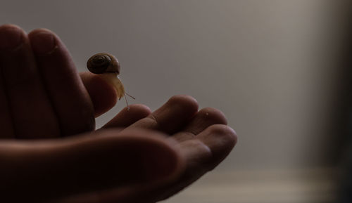 Close-up of human hand