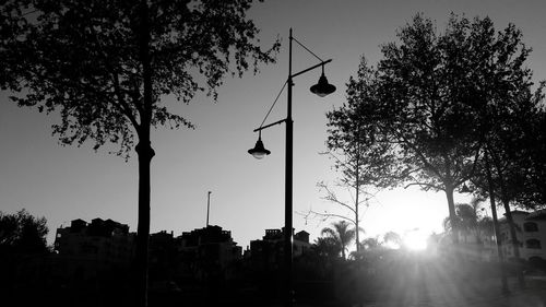 Low angle view of silhouette trees against sky