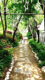 People walking on footpath in forest