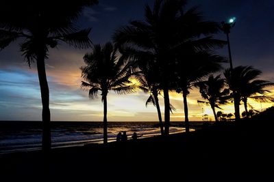 Silhouette palm trees on beach against sky during sunset