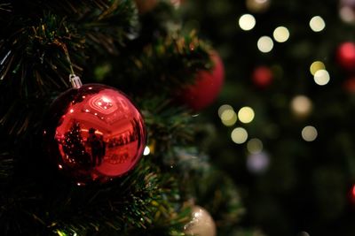 Close-up of christmas decorations on tree