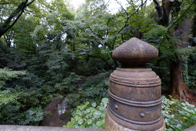 View of trees