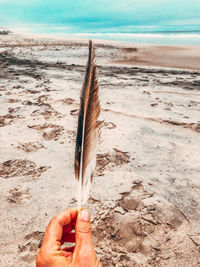 Close-up of hand holding feather on beach