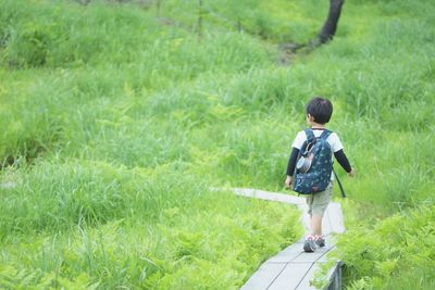 Rear view of boy standing on grass