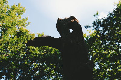 Low angle view of statue on tree against sky