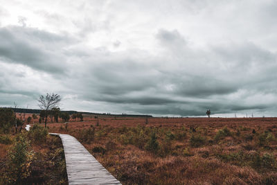 Panorama of the high fens in autumn, belgium.