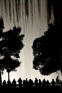 Silhouette trees against sky