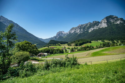 Scenic view of field against clear sky