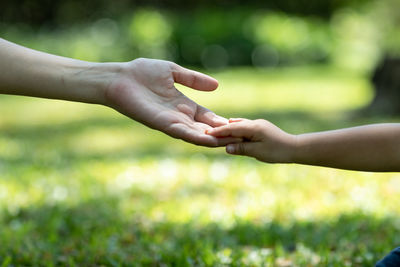 Cropped image of people hand on plant