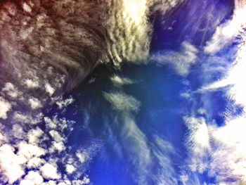 Low angle view of tree against blue sky