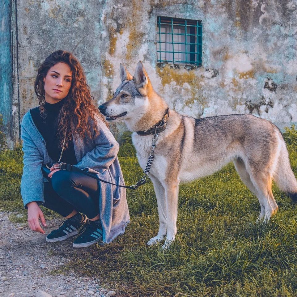 mammal, animal themes, animal, domestic animals, pet, one animal, dog, canine, one person, women, young adult, adult, wolfdog, lifestyles, full length, friendship, nature, architecture, sitting, casual clothing, hairstyle, leisure activity, long hair, german shepherd, emotion, portrait, clothing, outdoors, teenager, female, looking, day, child, positive emotion, happiness, smiling, grass, love