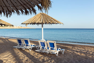 Sandy beach with palm trees with a metal pergola and plastic sun loungers. a sun lounger