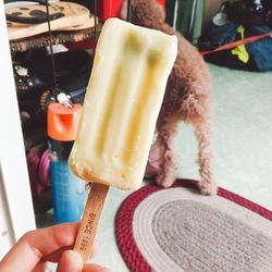 Close-up of hand holding ice cream cone