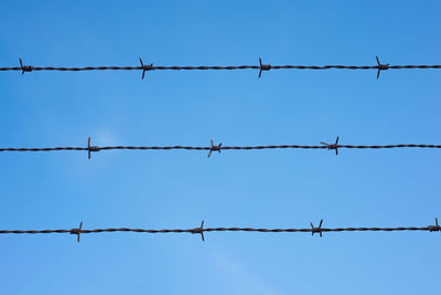 Contseptual shot of barbed wire over blue sky