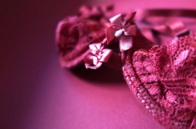 Close-up of pink flower