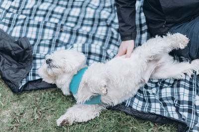 Man with dog relaxing on floor