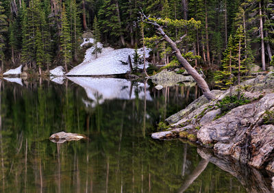 Reflection of trees on lake in forest during winter