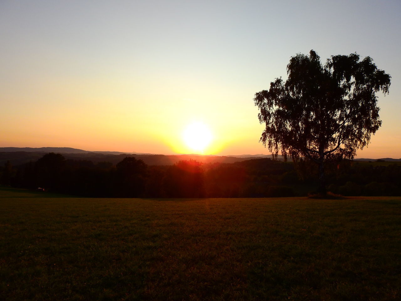 SILHOUETTE TREES ON FIELD AGAINST SKY AT SUNSET