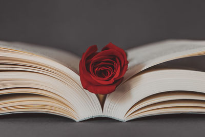 Close-up of red roses on table