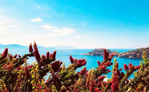 Scenic view of sea against blue sky