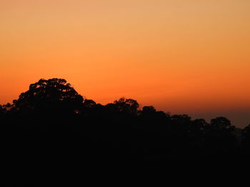 Silhouette trees against dramatic sky during sunset