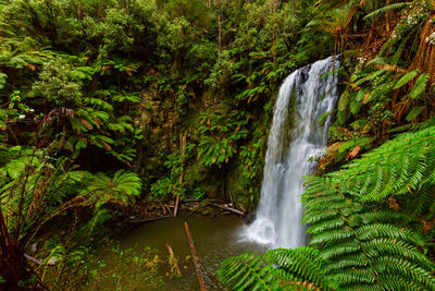 Scenic view of waterfall in forest