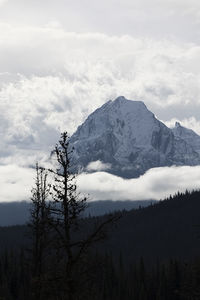 Canadian rockies landscape, canada xii