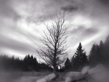 Bare trees on landscape against cloudy sky