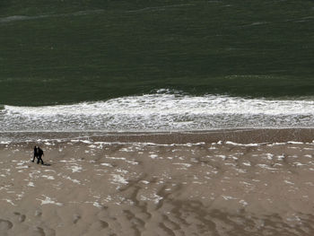 High angle view of people on beach