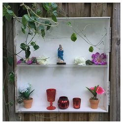 Close-up of potted plants