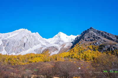 Scenic view of snowcapped mountains against clear blue sky