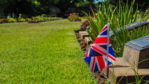 Close-up of flags on field