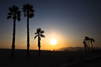 Silhouette of palm trees at sunset