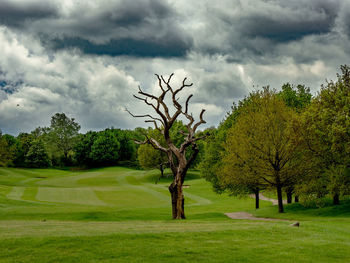 Empty golf course 