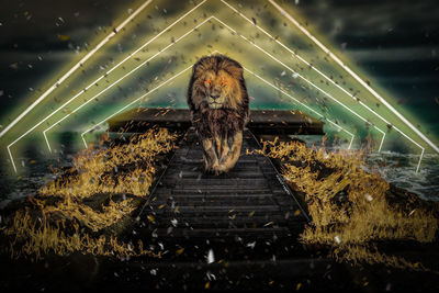 Digital composite image of people on staircase at night