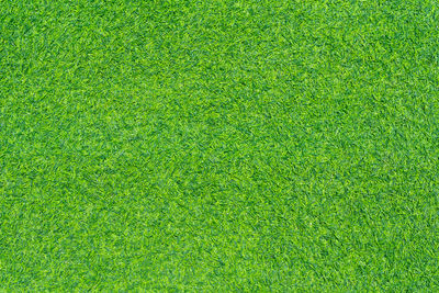 Artificial grass texture adn background.