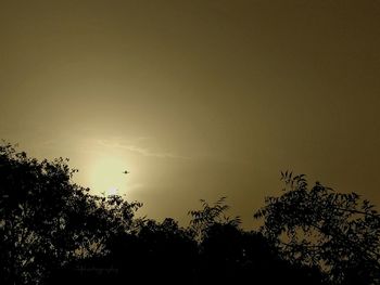 Low angle view of silhouette trees against clear sky