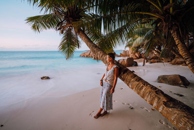 Woman standing by palm tree at beach