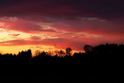 Silhouette trees on landscape against orange sky